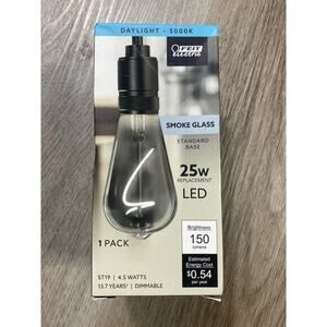 Feit Electric Edison LED Bulb Vintage 4.5W Dimmable Smoke Glass Daylight 1-Pack